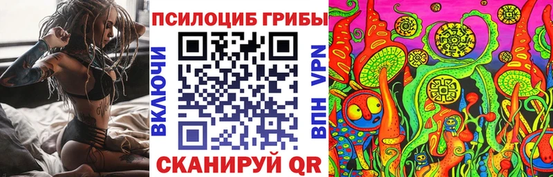 Галлюциногенные грибы Cubensis  Обнинск 